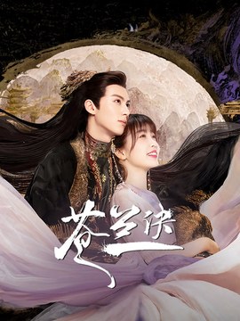 一级建造师视频